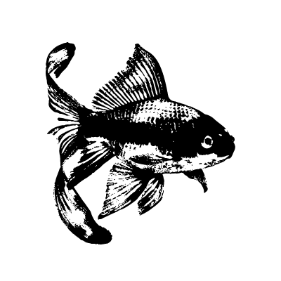 Icon für Anzeigen für Aquaristik